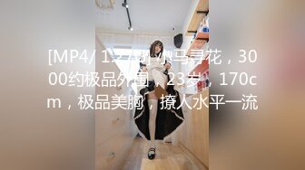 [MP4/ 1.27G] 小马寻花，3000约极品外围，23岁，170cm，极品美胸，撩人水平一流