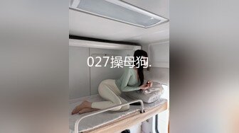 【自制字幕系列】第20弹 探花剪辑版6部，长达个把小时的探花剪辑成两分钟左右的剧情(中文字幕版)！