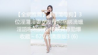 最新7月VIP福利，推特极品长腿苗条烧婊子【橙子】肛塞大阳具边走边搞，丝袜塞逼带出好多骚水，大街上紫薇边走边尿