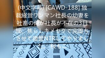 【新片速遞】 2024年7月，【推特巨乳】家有e妻，最新，黑丝艳舞篇，勾魂艳舞没人能抵挡得住，直接想扑倒操！[1.84G/MP4/29:49]