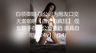 白领御姐 在公司为炮友口交 无套啪啪【白领也疯狂】 侄女联手在办公室揉奶 道具自慰【24v】  (14)