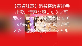 【童貞注意】渋谷横浜吉祥寺 出没。清楚な顔したクソ可愛い’童貞を殺す隠れビッチ’の決定的瞬間をカメラが捉えた！激撮4時間スペシャル！