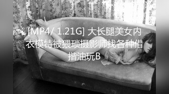 [MP4]STP29707 绝对领域 LY-010 小姨子与我的乱伦之恋 VIP0600