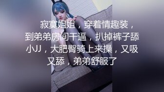 [无码破解]SNIS-166 秘密捜査官の女 巨乳エージェント恥辱の報酬 宇都宮しをん