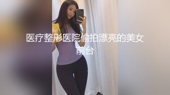 高清无水印珍藏版 高铁女神乘务员和靓丽的女乘客 (6)