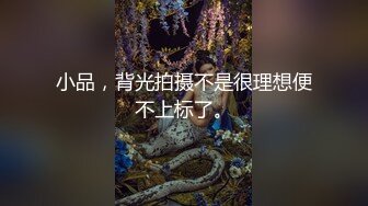 小品，背光拍摄不是很理想便不上标了。