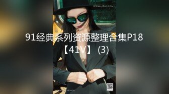 91经典系列资源整理合集P18【41V】 (3)