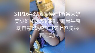 ✨【重度BDSM】韩国巅峰女S「Yerin」OF重度调教私拍 男女奴一边做爱一边受刑，大幅超越常规调教