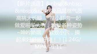 起点传媒 xsjky-095 厕所里强上我的美女主管-凌萱