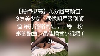 【撸点极高】九分超高颜值19岁美少女，偶像明星级别颜值 吊打各路网红，一等一粉嫩的鲍鱼，最佳撸管小视频 (2)