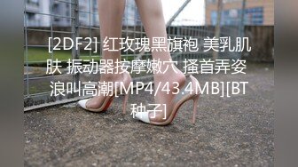 本土美女看到男人大屌就要含