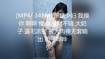 小马寻花约包臀裙大长腿外围女,翘起屁股后入一下下往前顶站立后入啊啊直叫