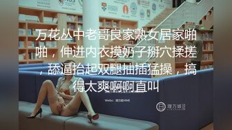 潜水多年，来个会叫的