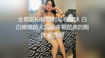 极品少妇与维修工的日常