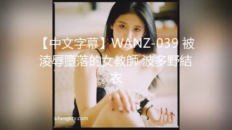 【中文字幕】WANZ-039 被淩辱墮落的女教師 波多野結衣