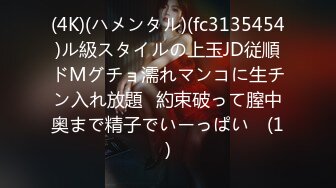 快手主播 猪猪大哥 24年头等舱极致骚舞12月最新福利 17弹 (1)