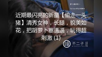 近期最闪亮的新星【偷走一头猪】清秀女神，长腿，貌美如花，把胡萝卜塞逼逼，玩得超刺激 (1)