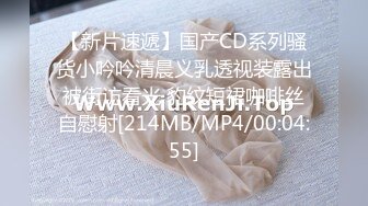 【新片速遞】国产CD系列骚货小吟吟清晨义乳透视装露出被街访看光 豹纹短裙咖啡丝自慰射[214MB/MP4/00:04:55]