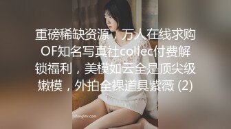 商场女厕全景偷拍制服女职员的微毛小黑鲍