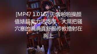 11月最新收费福利，最大尺度【微博19W网红G奶女神 樱晚GiGi】红酒与她，好想做她床上那只猫，美轮美奂的大胸，好漂亮！