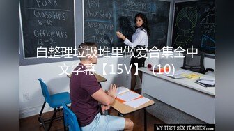 自整理垃圾堆里做爱合集全中文字幕【15V】  (10)