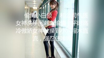 91PCM010 果冻传媒 极乐圣诞夜气质美女沦为性爱玩物 岚可彤