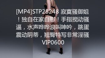 [MP4]STP32556 星空无限传媒 XK8177 风骚一夜情 孤女与司机的激情一夜 桐桐 VIP0600